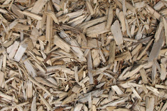 biomass boilers Tredethy
